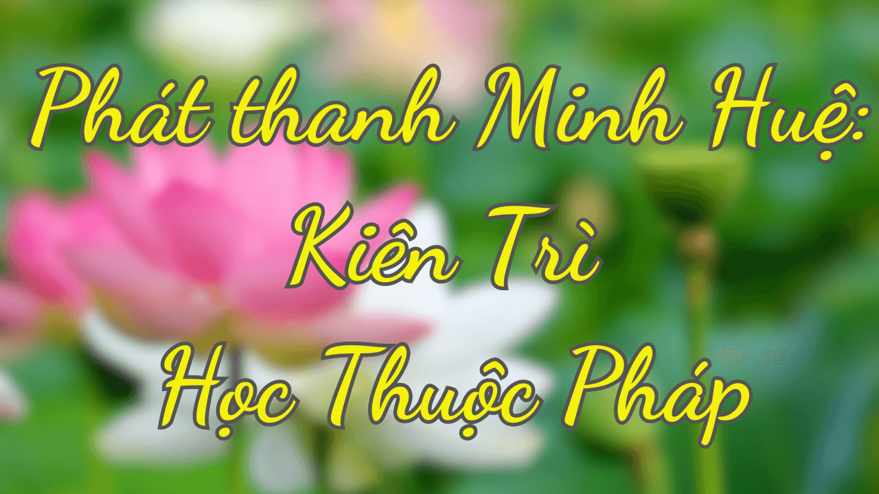 Tuyển tập Phát thanh Minh Huệ Kiên trì học thuộc Pháp