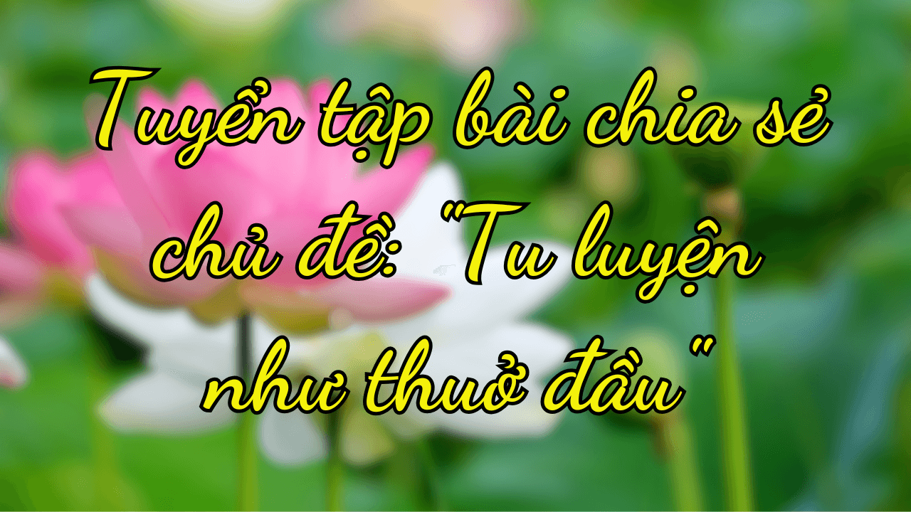 Tuyển tập bài chia sẻ chủ đề: Tu luyện thuở ban đầu